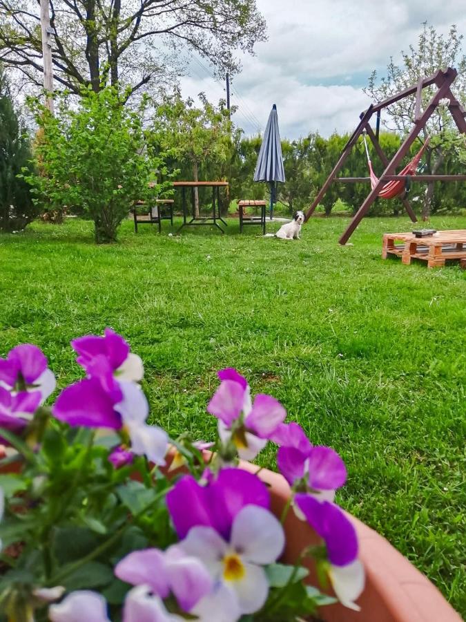 אוטוצאץ Gacka-Beautiful Place In Nature מראה חיצוני תמונה